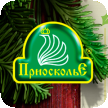 C Новым годом и Рождеством Христовым!