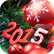 С НОВЫМ 2015 ГОДОМ  и Рождеством Христовым!